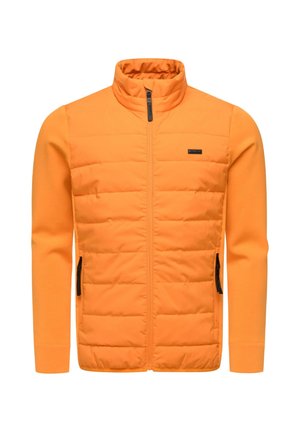 STEPP RENDAN TECH  - Giacca invernale - orange