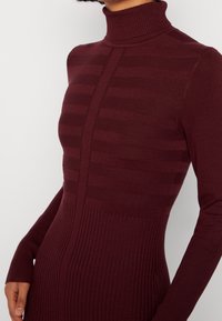 Bordeauxrotes Rollkragenkleid mit vertikalem Streifenmuster, gerippten Details an Bündchen und Saum, figurbetonter Silhouette, glattem Stoff.