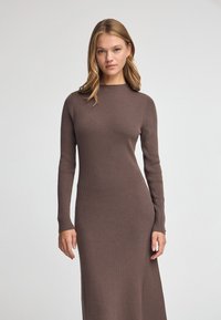 Langærmet, ribbet strikkjole i en afdæmpet brun tone. Har en høj halsudskæring og en tætsiddende silhuet med glat overflade og lange ærmer.