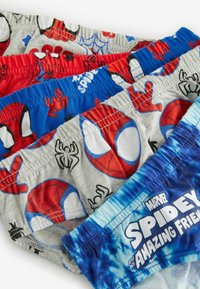Ensemble de sous-vêtements colorés pour garçons en tissu coton avec des motifs de Spider-Man en rouge, bleu et gris. Différents motifs, ceintures élastiques et logos.