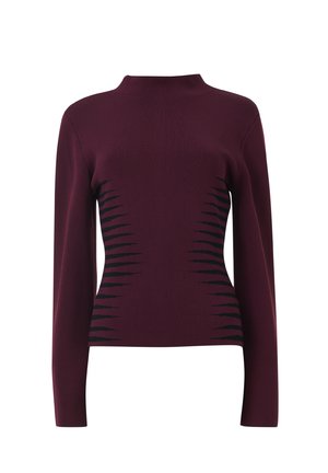 Bordeauxfarbener, taillierter Pullover mit langen Ärmeln, der schwarze diagonale Streifen an den Seiten und einen hohen Kragen aufweist. Hergestellt aus einem glatten Strickmaterial.