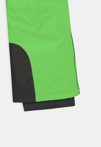 Icepeak LENZEN UNISEX - Jardineiras - leaf green