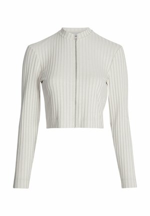 Top corto a zip beige chiaro a costine con maniche lunghe e colletto alla mandarino. Presenta righe verticali e un dettaglio in zip argentato.