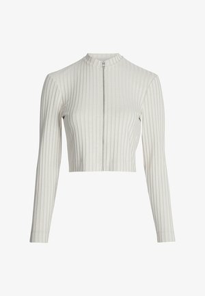 Top corto a zip beige chiaro a costine con maniche lunghe e colletto alla mandarino. Presenta righe verticali e un dettaglio in zip argentato.