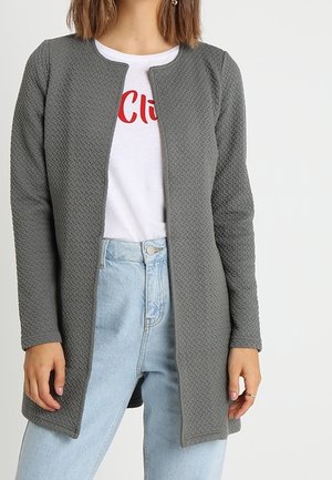 Leichte Jacke - grey