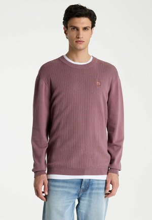 Young man with short dark hair wearing a ribbed mauve sweater over a white shirt and light blue jeans against a light background.