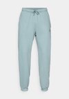 PANT - Træningsbukser - aviator grey/black