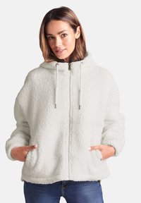 Faux fur jacket in light gray with a zip-up front, adjustable drawstring hood, side pockets, and a relaxed fit. Soft texture.
