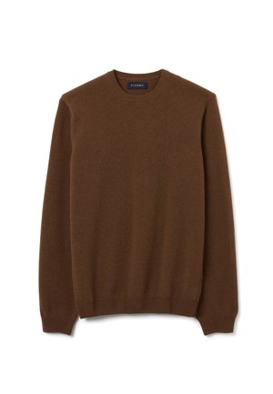 Maglione marrone con scollo rotondo realizzato in tessuto morbido, con polsini e orli a coste, dal design semplice e senza cuciture, senza motivi visibili.