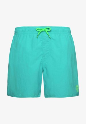Pantaloni da bagno turchesi realizzati in materiale leggero, con un laccetto verde, cucitura frontale e un piccolo logo nell'angolo in basso a destra.