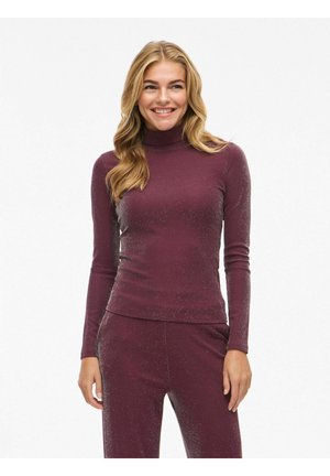 VIELEINAS HIGH NECK - Longsleeve - fig