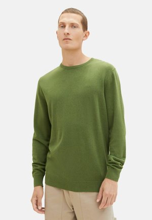 Grüner Strickpullover mit langen Ärmeln, rundem Ausschnitt und geripptem Saum. Weiche Textur mit subtilen Farbvariationen. Keine sichtbaren Muster oder Beschläge.