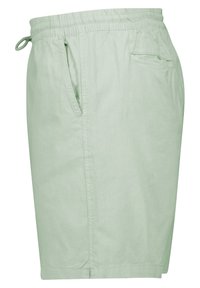 America Today Shorts - sea green