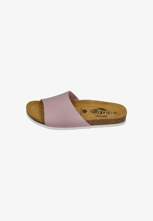 PLAKTON, BALA - Mules - malva
