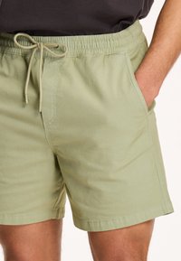 Světle zelené šortky vyrobené z měkké tkaniny, s elastickým pasem a šňůrkou, mají boční kapsy. Jednoduchý, čistý design.