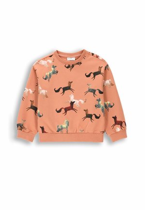 - Bluza