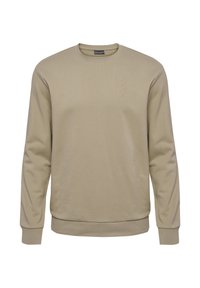 Beige crewneck sweatshirt i mjukt tyg. Har långa ärmar, ribbade muddar och ett subtilt zigzag-mönster på bröstet.