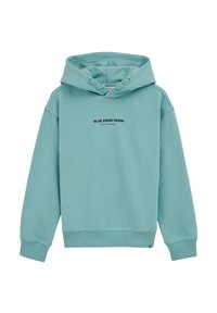 Felpa azzurra chiara realizzata in tessuto morbido. Presenta un cappuccio con cordino, polsini e orlo a coste, e la scritta stampata "BLUE RIDGE DENIM" sul davanti.