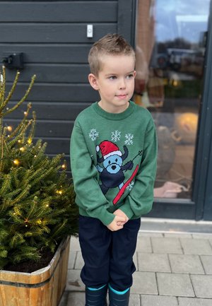 Grøn strikket sweater med en bjørn, der snowboarder på et rødt snowboard, snefnug mønstre, båret over mørke bukser og blå gummistøvler.