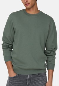 Felpa verde in cotone con collo a giro, polsini e orlo a coste. Design semplice con maniche lunghe e una texture morbida e liscia.