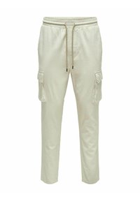 Pantalon cargo - silver lining