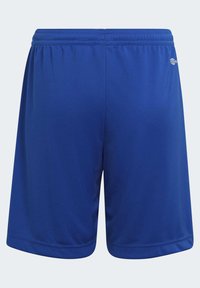 Pantalones cortos deportivos azules hechos de una tela suave y ligera. Cuentan con una cinturilla elástica y aberturas festoneadas para comodidad y ajuste.