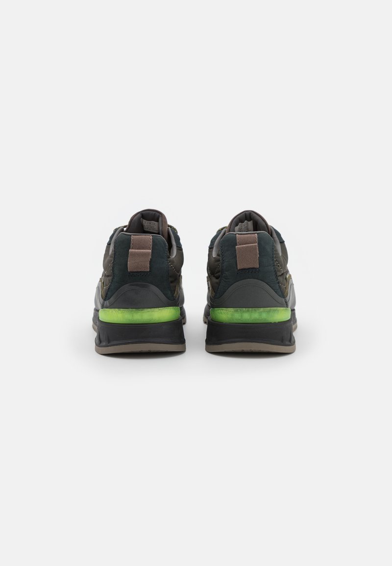 Herren Sneaker low | North Star DESCENT Sneaker low evergreen/oliv - JZ37819 Herren Sneaker low | North Star DESCENT Sneaker low evergreen/oliv - JZ37819