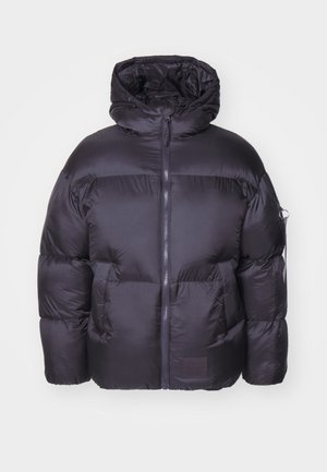 Alpha Industries CLOUD - Winter jacket - vintage grey