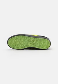 Globe ENCORE 2 - Sapatilhas - black/acid