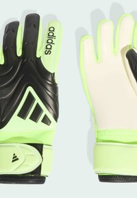 Groene en zwarte doelmanhandschoenen met een gestructureerde grip, gevoerde palm en verstelbare polsband. Het "adidas"-logo is zichtbaar op de vingers.