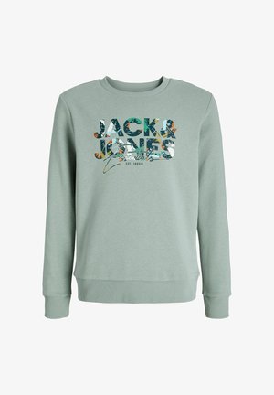 GEPLAS CREW NECK MNI - Športni pulover - iceberg green
