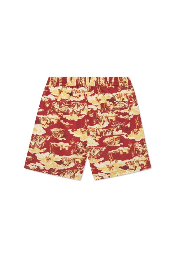 STAN RUINS - Swimming shorts2