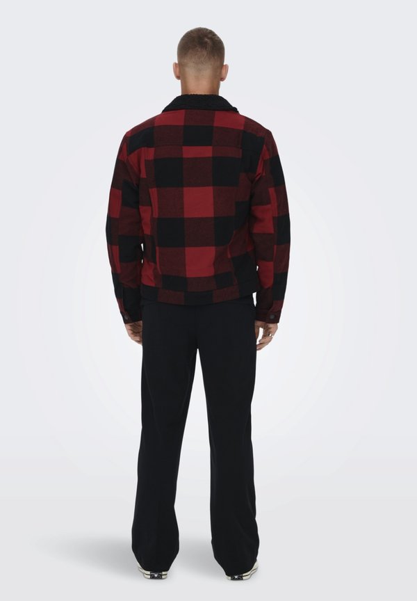 ONSLOUIS TRUCKER JACKET - Winter jacket - sun dried tomato4