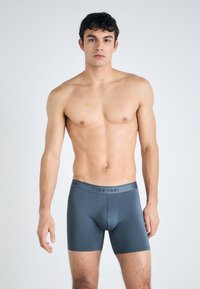 Pilki boxeriai, pagaminti iš lygaus audinio, su Calvin Klein logotipu ant juosmens. Dizainas pritaikytas vidutinio ilgio (iki šlaunų) su plokščiomis siūlėmis.