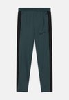 ACADEMY 23 PANT BRANDED UNISEX - Pantaloni sportivi - vintage green/black/white
