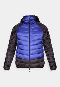 Selecionado, clematis blue