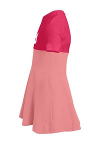 Vaaleanpunainen mekko, jossa on lyhythihainen tumma vaaleanpunainen yläosa ja levenevä alaosa. Mekossa on sileä pinta ja valkoinen graafinen kuvio rinnan kohdalla.