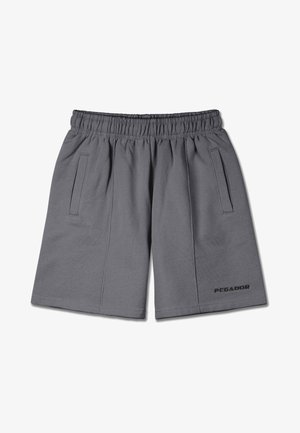 Grå treningsshorts med elastisk midje, to sidelommer, og "PEGADOR"-logo i svart på nedre høyre side.