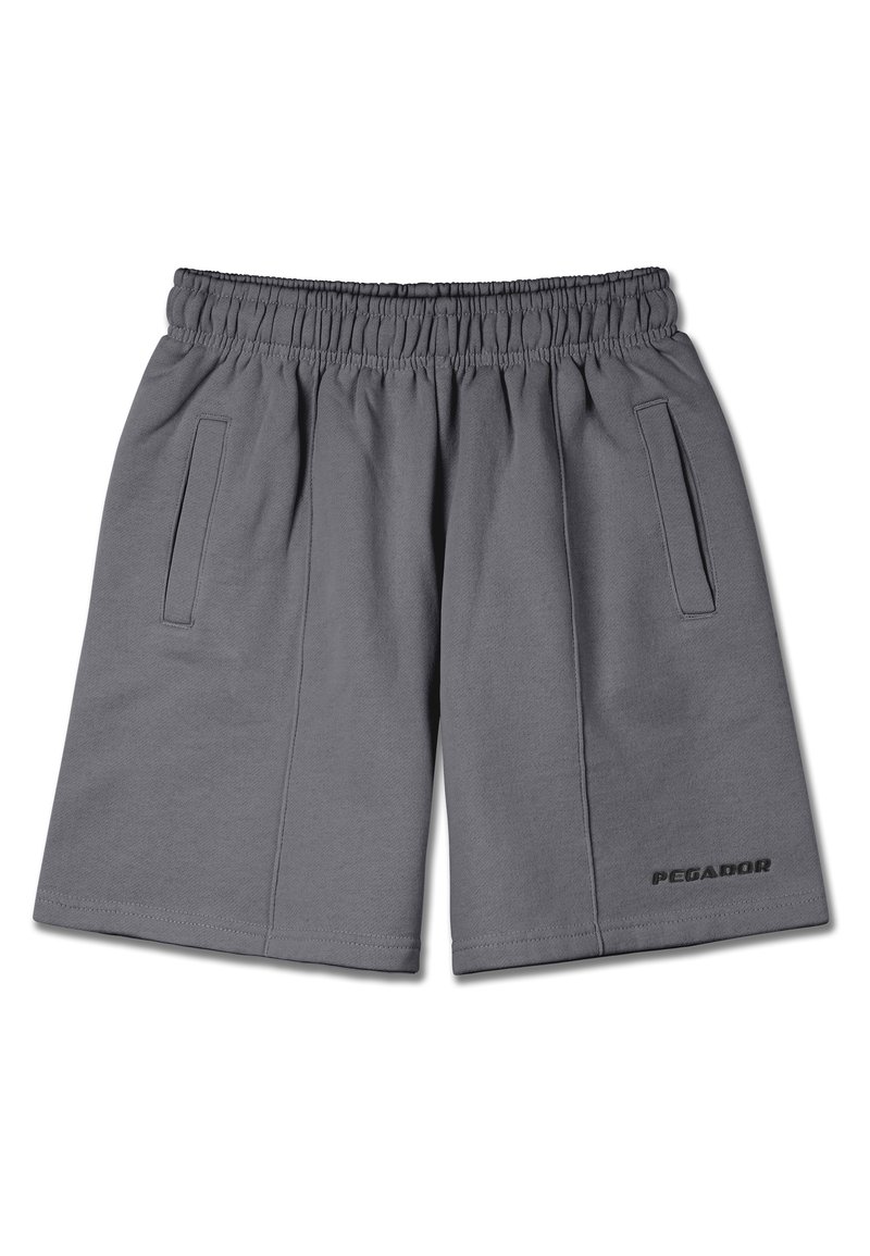 Pegador Shorts grijs