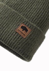 Beanie lavorato a coste verde con un'etichetta in pelle marrone con un logo di bisonte e la parola "ombre" impressa. Texture morbida, vestibilità comoda.