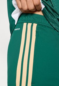 Zaļi sporta šorti ar beidzem vertikālām svītrām, izgatavoti no gludas auduma, ar kabatu un logo "Firanotina."