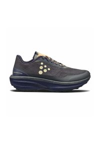 Chaussure de trail pour homme en mesh gris foncé. Dispose d'une semelle hautement rembourrée, d'une semelle extérieure en caoutchouc à traction et d'accents gris clair.