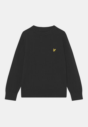 CREW NECK JUMPER - Svetr - black