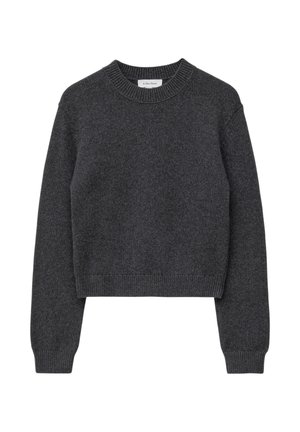 Dunkelgrauer, gestrickter Pullover mit langen Ärmeln und geripptem Rundhalsausschnitt, Bündchen und Saum, der eine leicht verkürzte Passform hat.