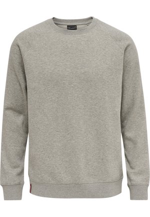 Sweater - mottled grey