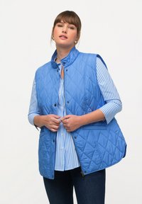 Ljusblå vadderad väst med hög krage, framzipper och tryckknappar, bärs över en blå och vit randig skjorta. Har sidofickor.