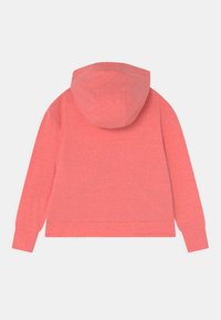 Korallfärgad hoodie med foder i huvan, långa ärmar och ribbade mudd. Mjuk textur och avslappnad passform. Ingen synlig logotyp eller grafiska detaljer.