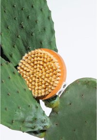Miniatyrbild 4