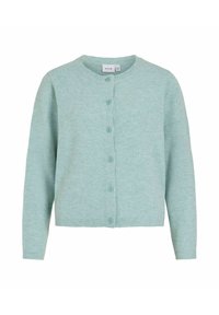 Gaiši mīksti zaļš kardigans no mīksta auduma ar apaļu kakla izgriezumu, gariem piedurknēm un sešām vienādām pogām priekšpusē.