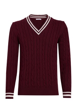 V-NECK BASIC CABLE KNIT  - Jersey de punto - bordeaux